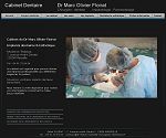 dr-floirat-marseille-chirurgiens-dentistes.fr